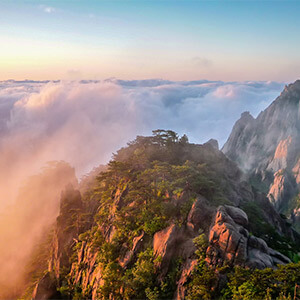 违章处理_异地违章罚款处理流程_处理异地违章罚款